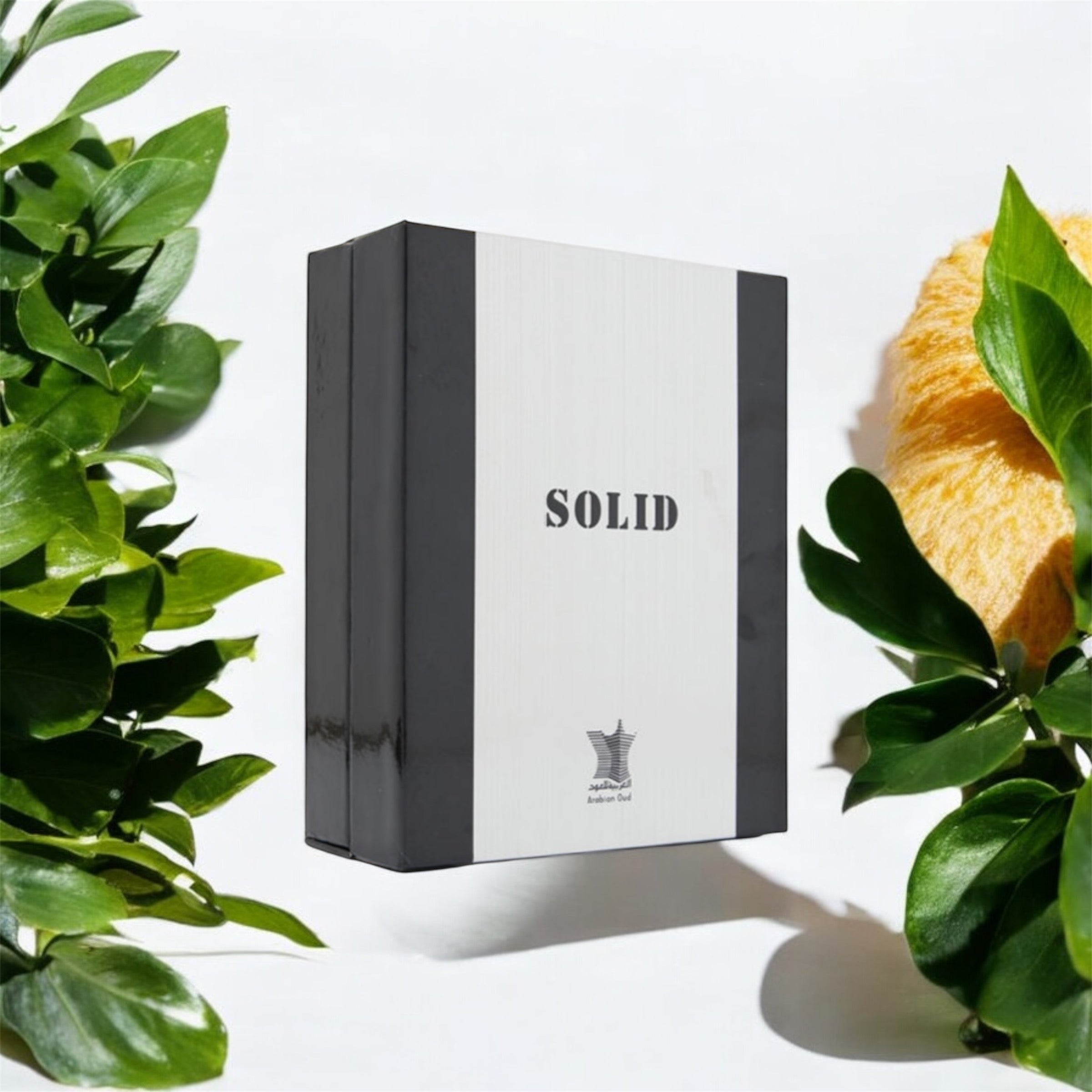 Solid - Arabian oud (75ml)